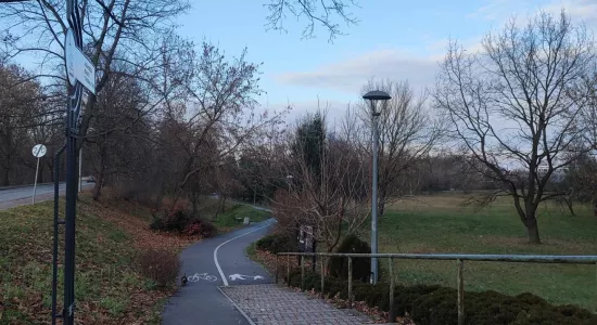 Park w Nowej Sarzynie