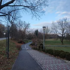 Park w Nowej Sarzynie